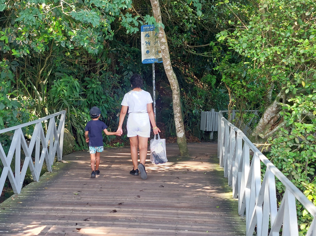 Deck do Pontal Norte-康泊琉海水浴场必去景点