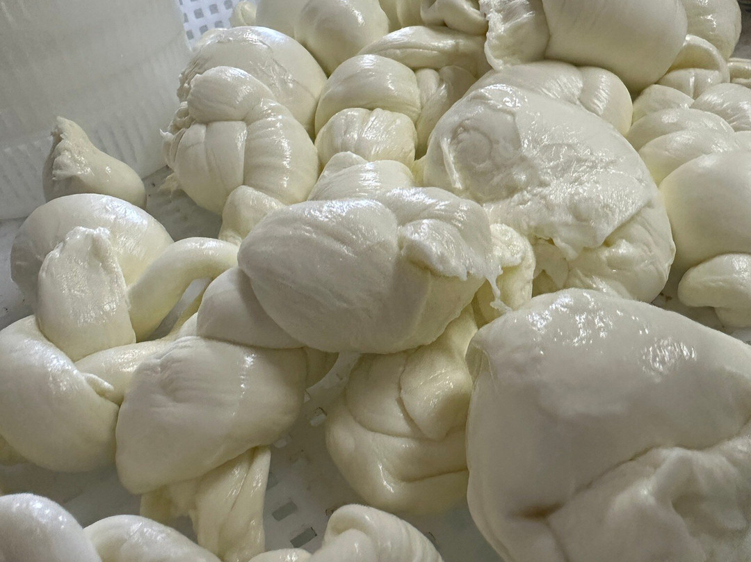 Adamà - Culinary Experience-Atena Lucana必去景点