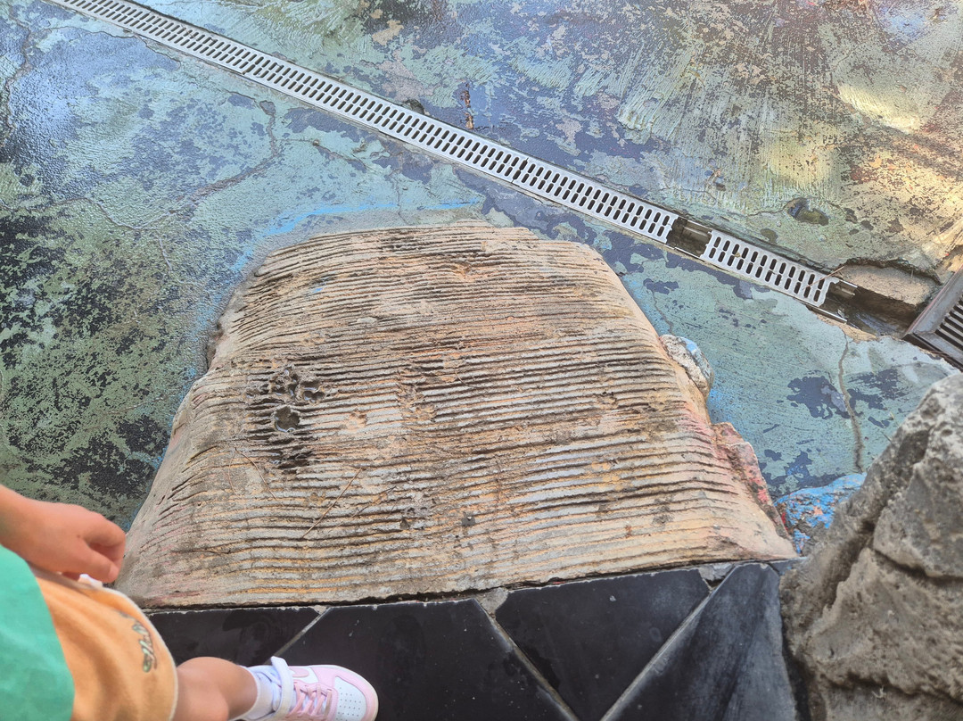 Dinopark-Goynuk必去景点