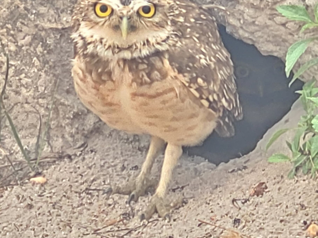 Parque Nacional da Serra da Canastra-Sao Roque de Minas必去景点