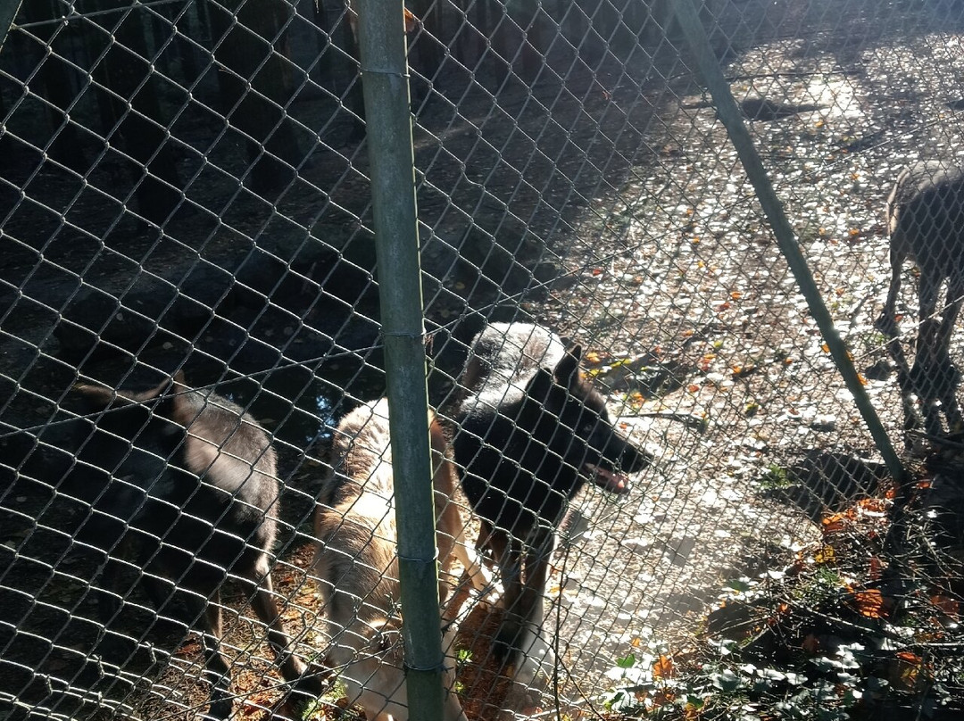 Loups de Chabrières-Gueret必去景点