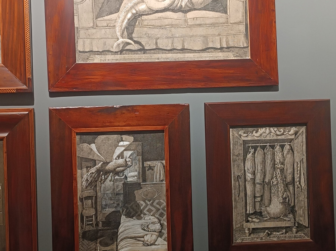 Museo Sa Bassa Blanca-阿库迪亚必去景点