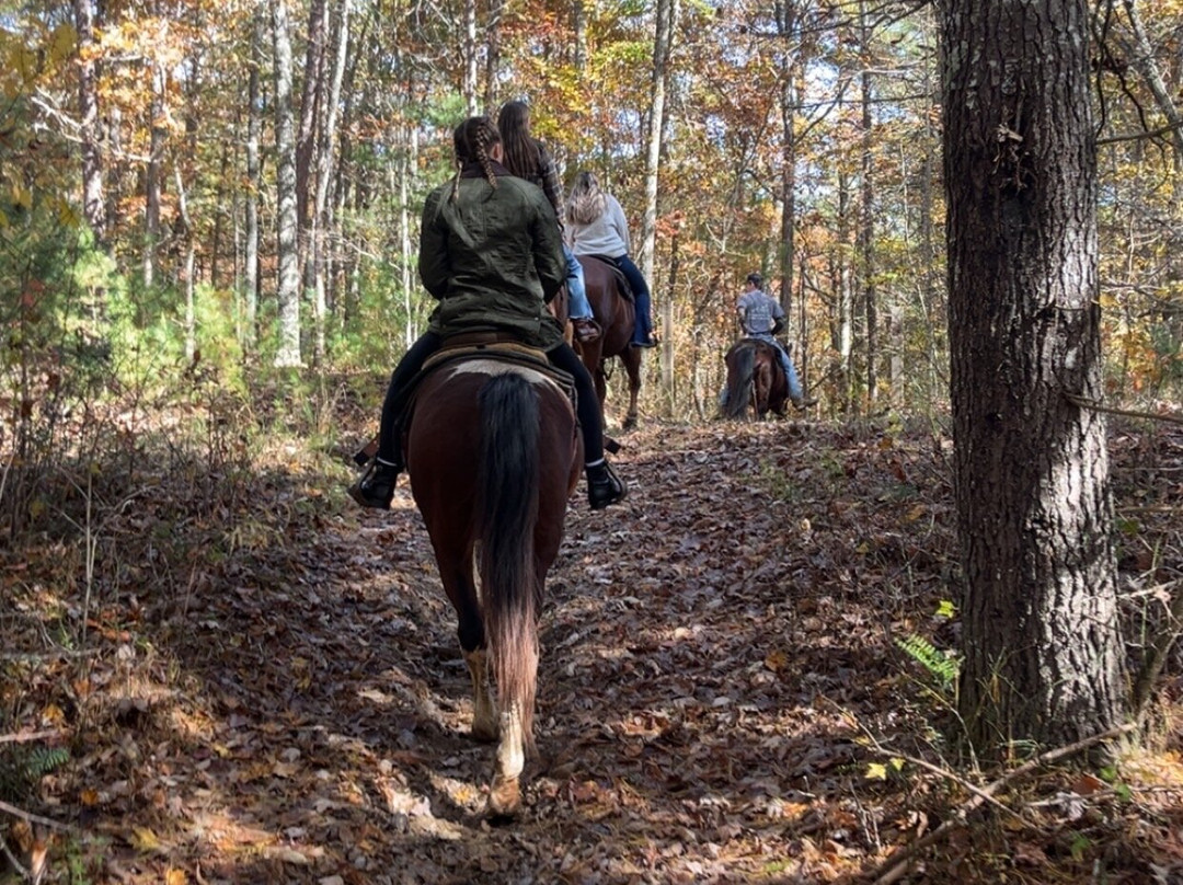 Appalachian Trail Rides-Mineral Bluff必去景点