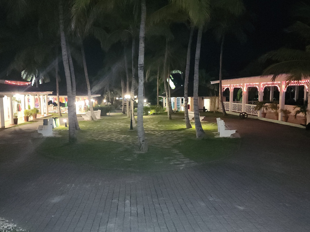 Playa Pesquero-奥尔金必去景点