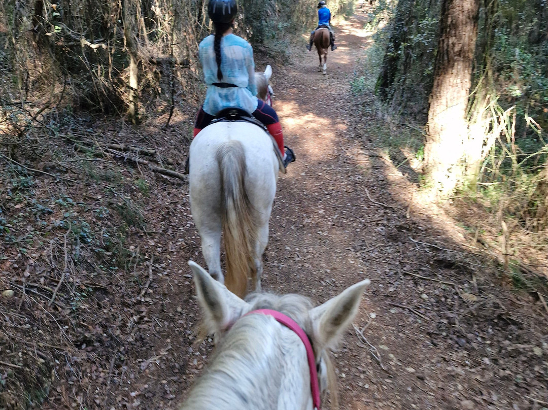 Panorama Trails-Terradelles必去景点