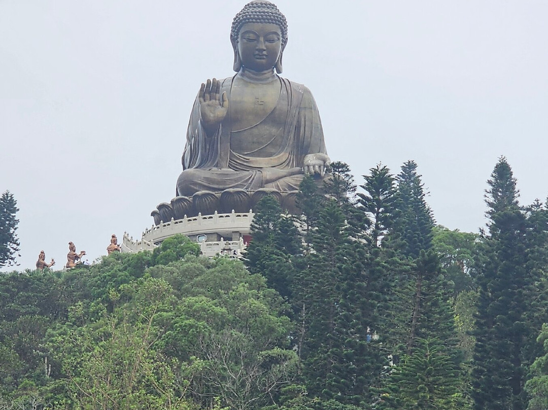 Memory Tours (Licensed Agent)-香港必去景点