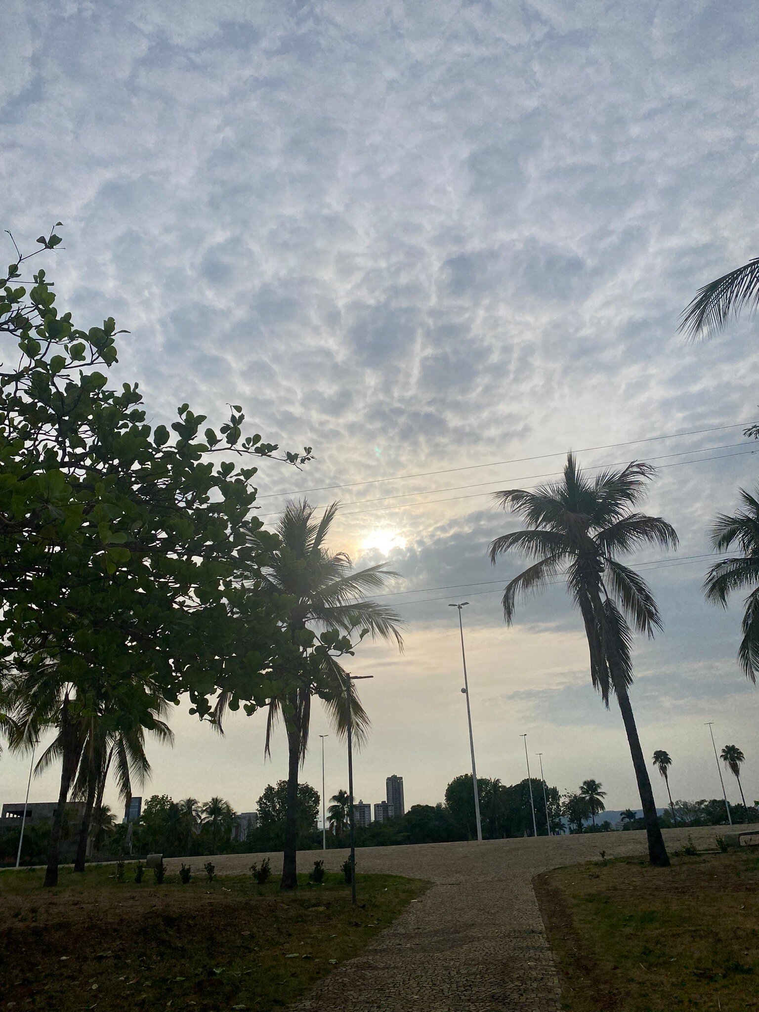 HOTEL 10 Palmas-官方