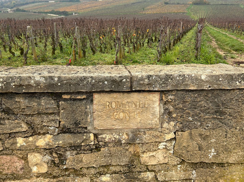 Safari Tours-博讷必去景点