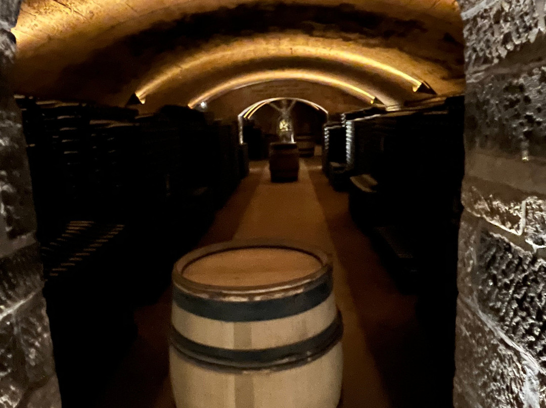 Patriarche Pere & Fils-博讷必去景点