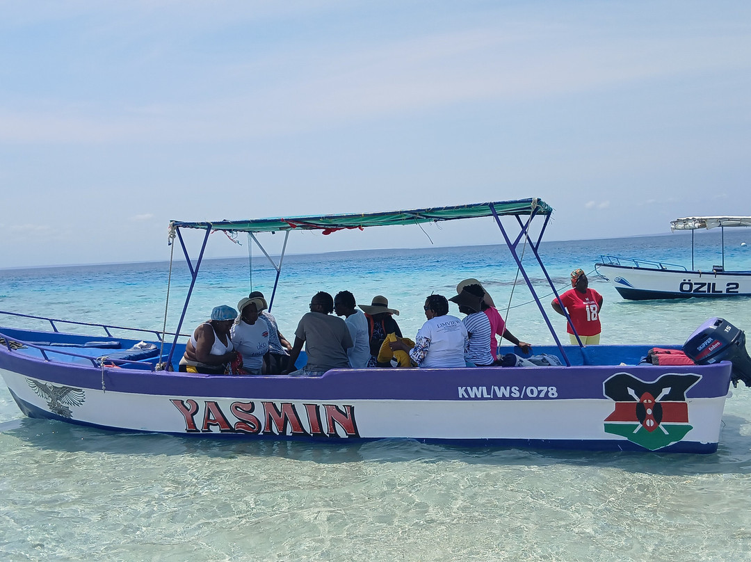 Shimoni Wasini Dolphin Destination-Shimoni必去景点