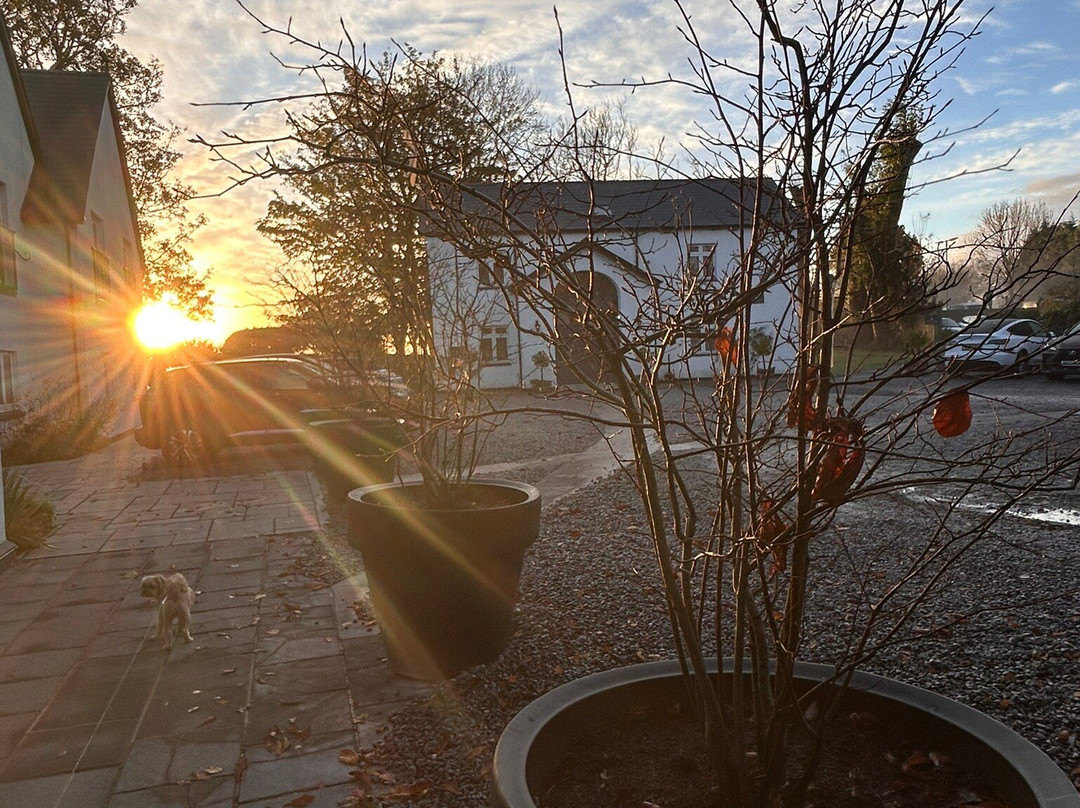 雷奇温大厅酒店主图
