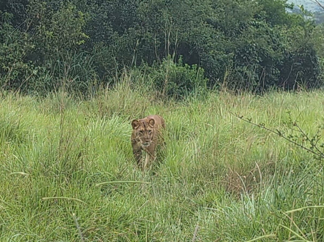 Katona Tours and Travel-吉佳利必去景点