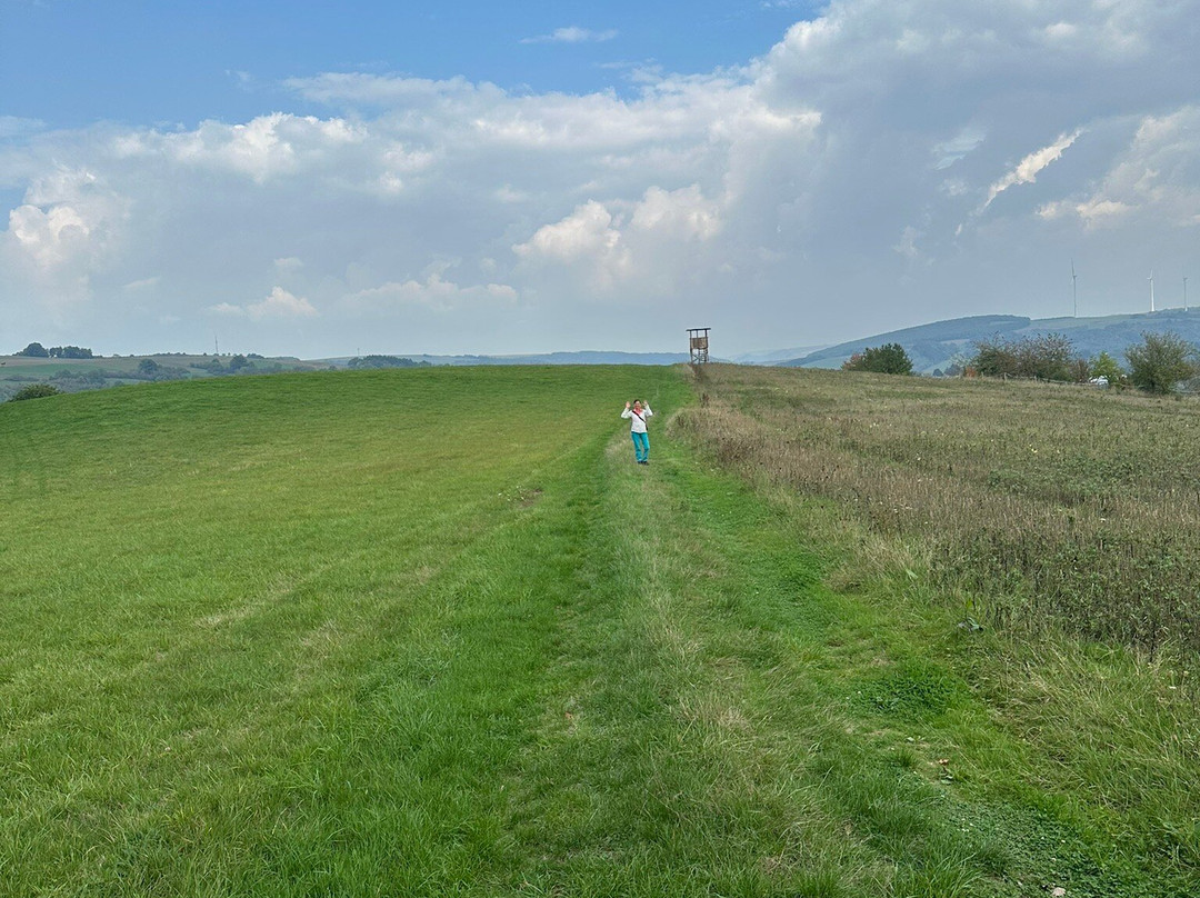 Magische Heimbach - Wanderung-Meisenheim必去景点