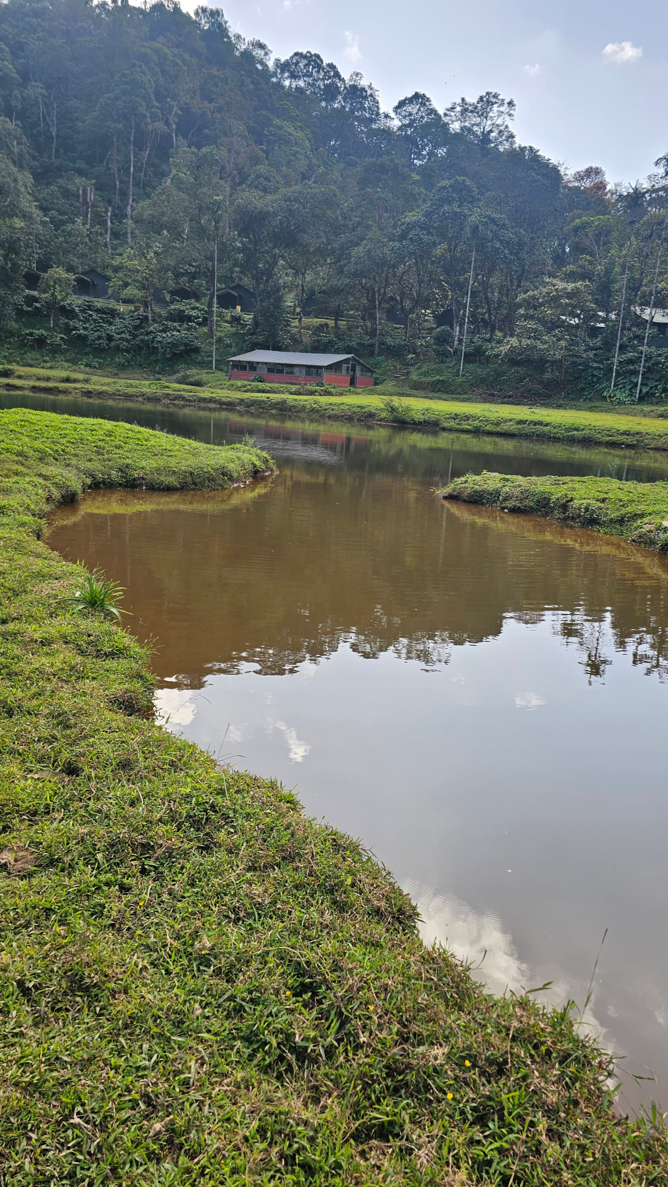 Three Hills Coorg-官方