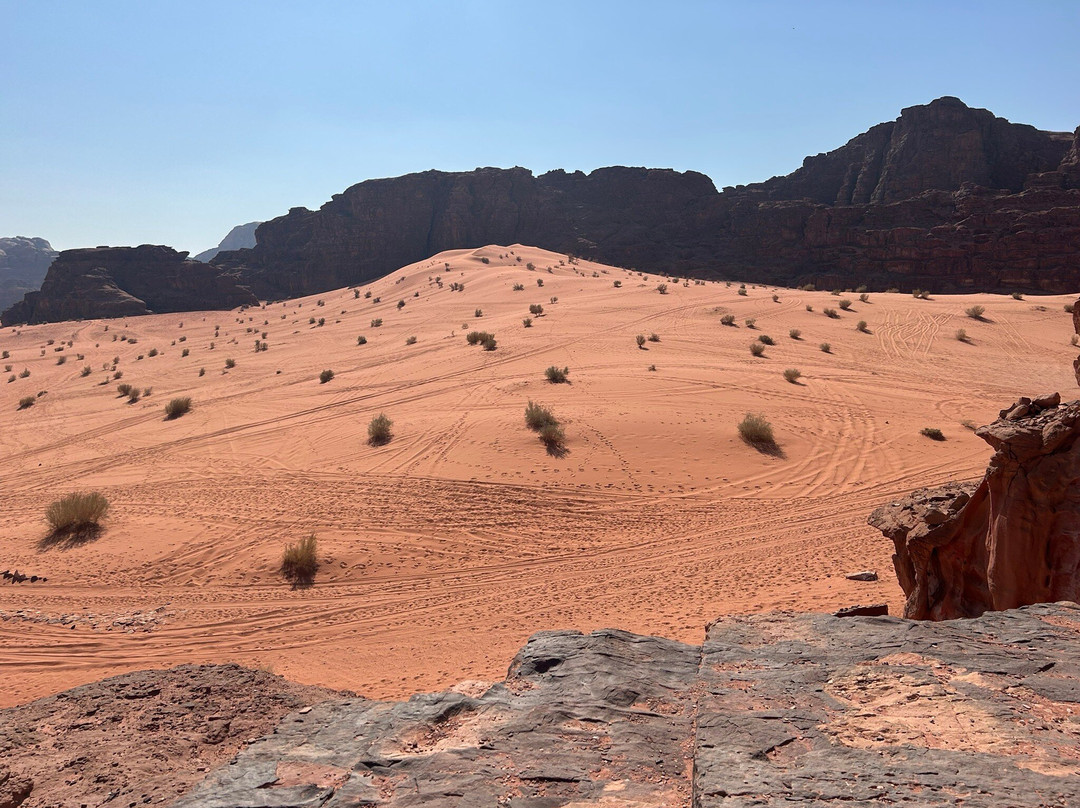 Why Jordan Tours-佩特拉必去景点