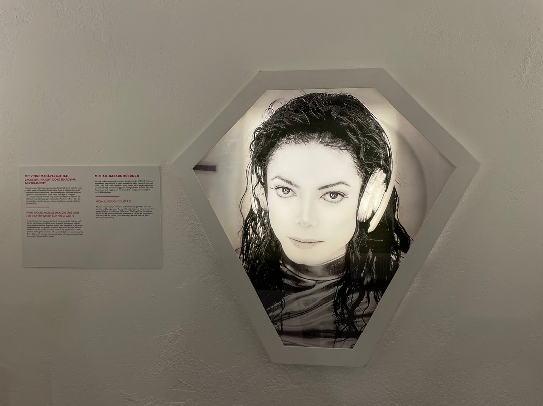 Michael - The History Exhibition