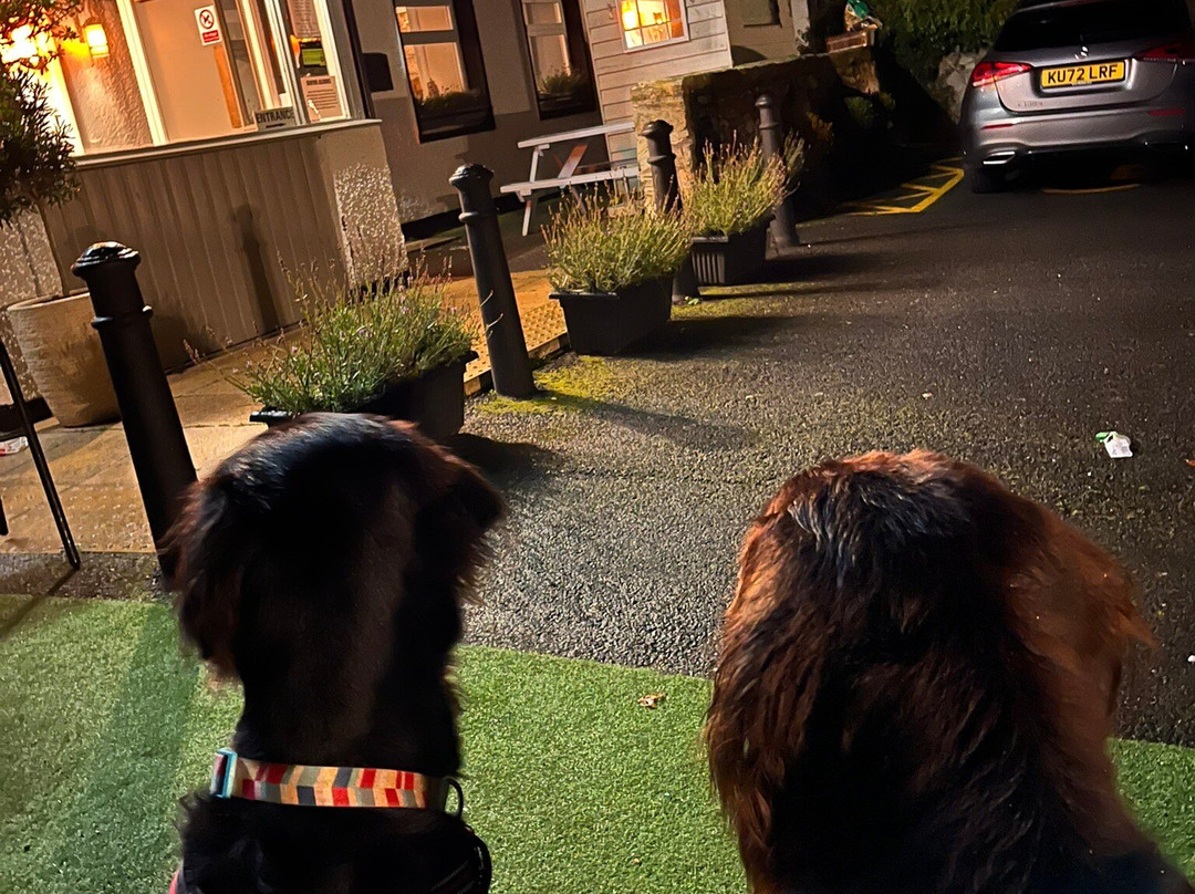 The Fishing Boat Inn主图