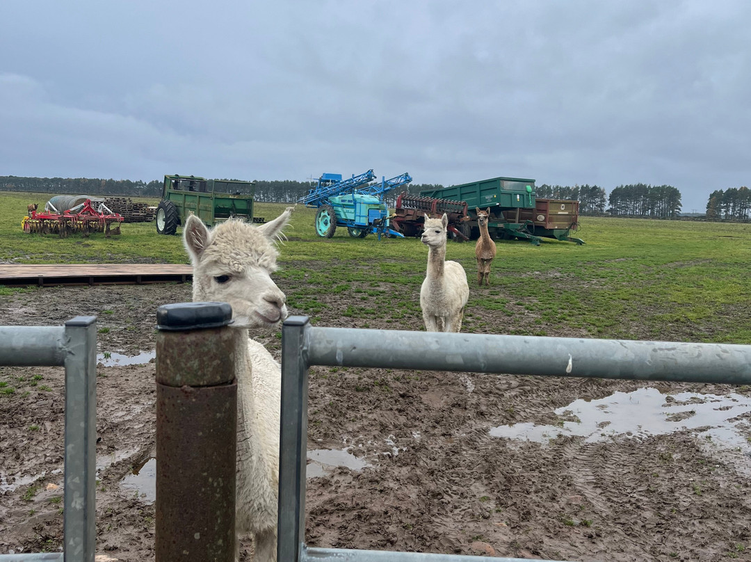 Newton Farm Holidays & Tours主图