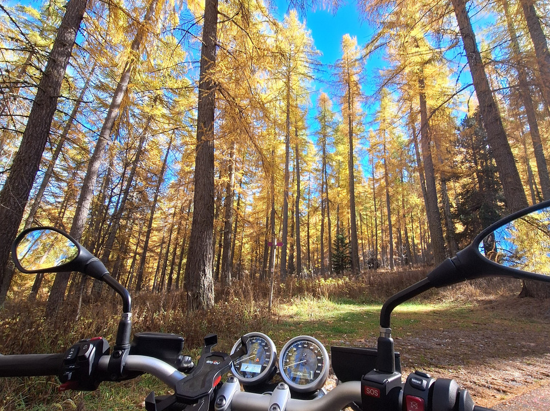 Azur Motorent-瓦尔博讷必去景点