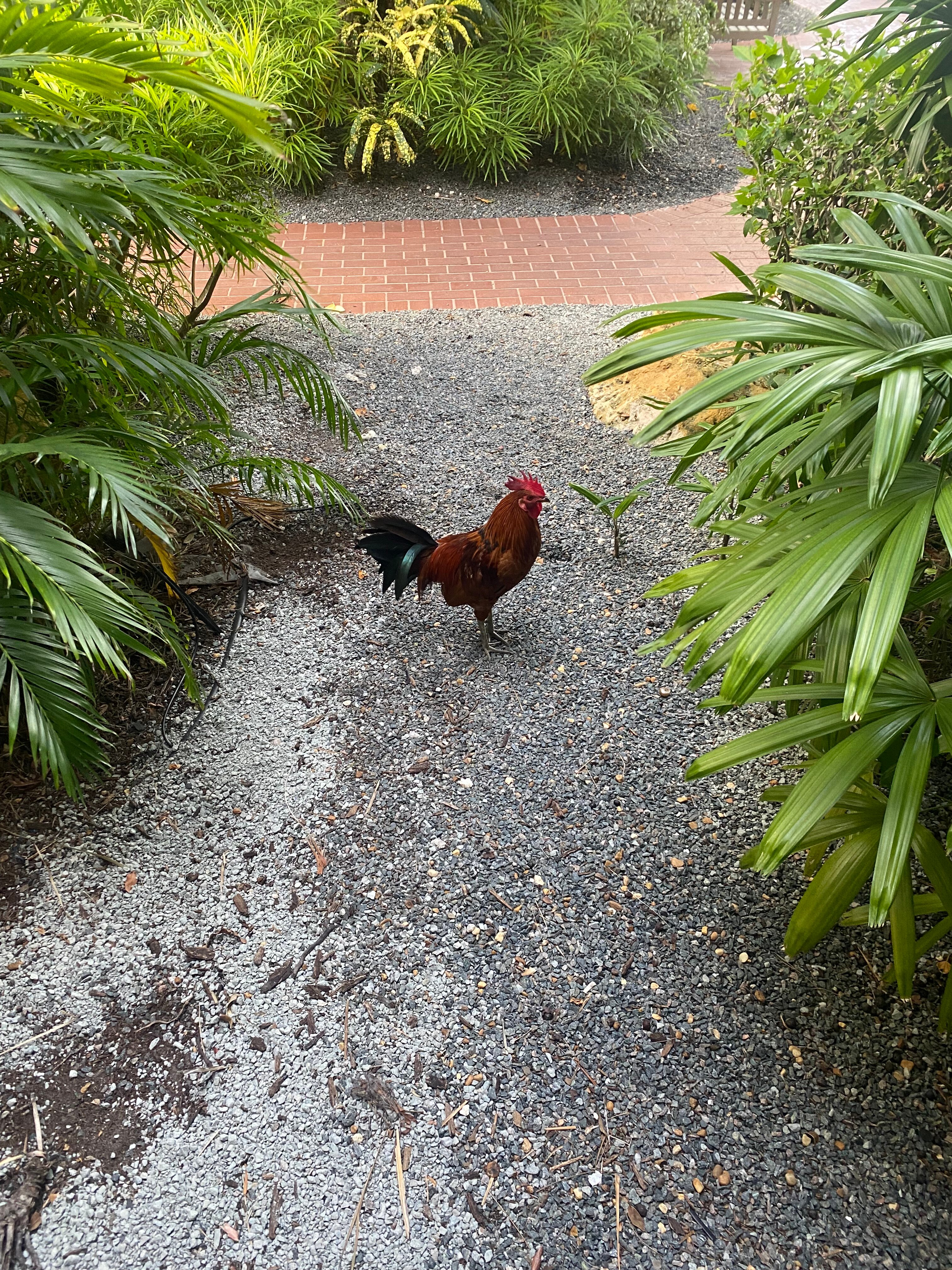 码头屋Spa度假酒店-官方