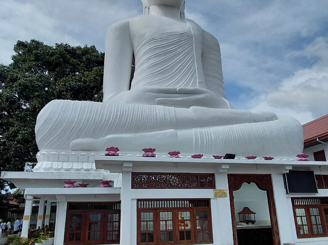 Royal Island Tours-尼甘布必去景点