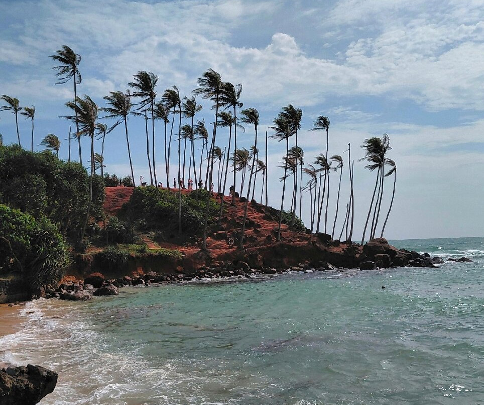 Royal Island Tours-尼甘布必去景点