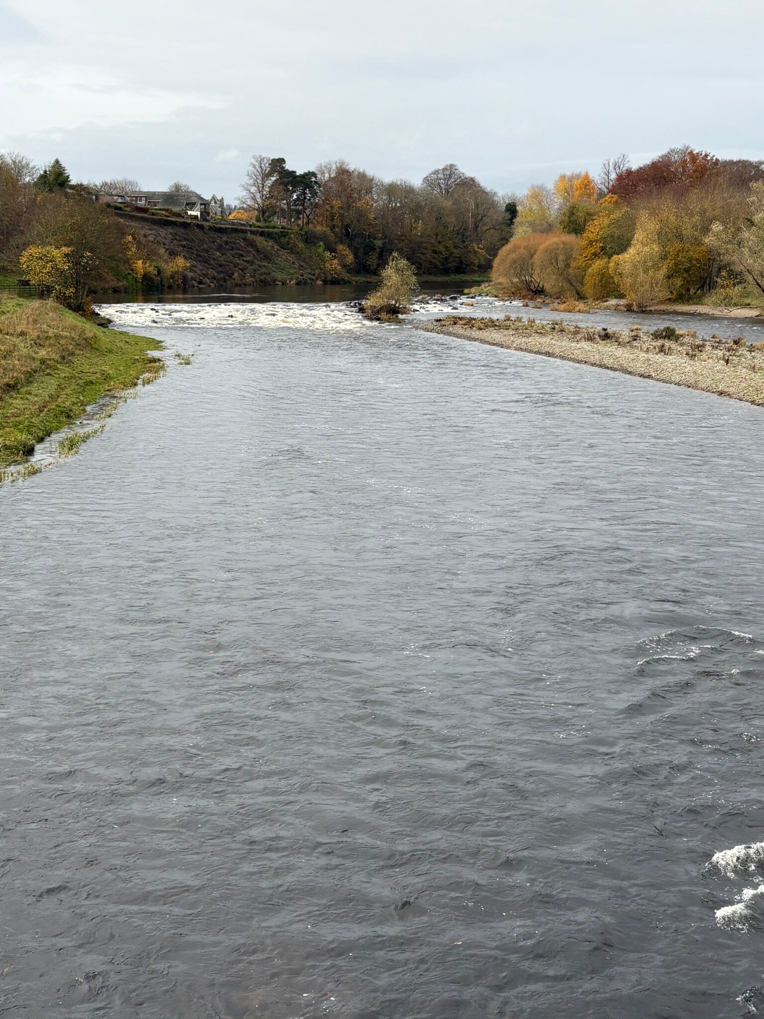 Station Hotel-官方