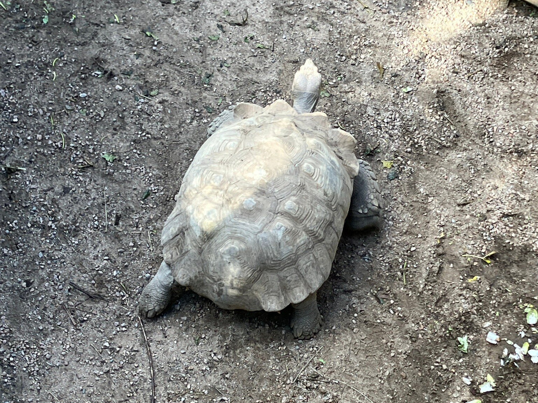 A Cupulatta-Ucciani必去景点