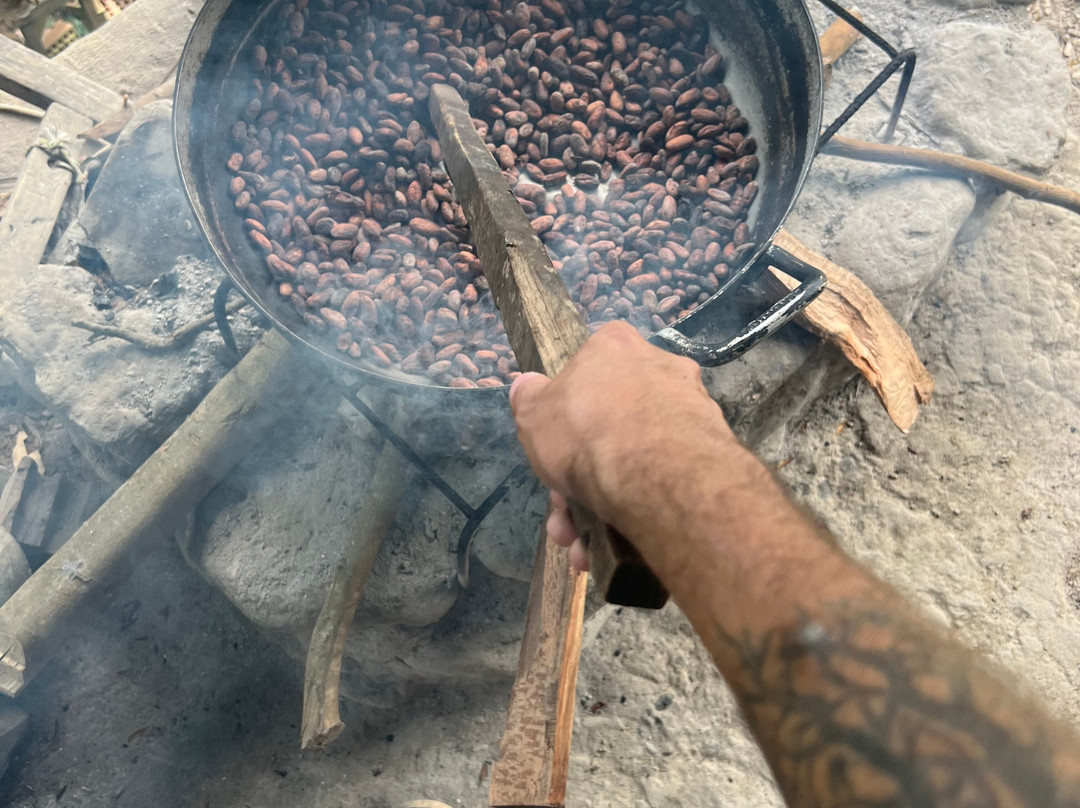 Sacharuna Adventure-Tarapoto必去景点