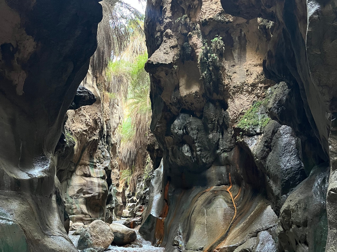 Wadi Bin Hammad-Karak必去景点