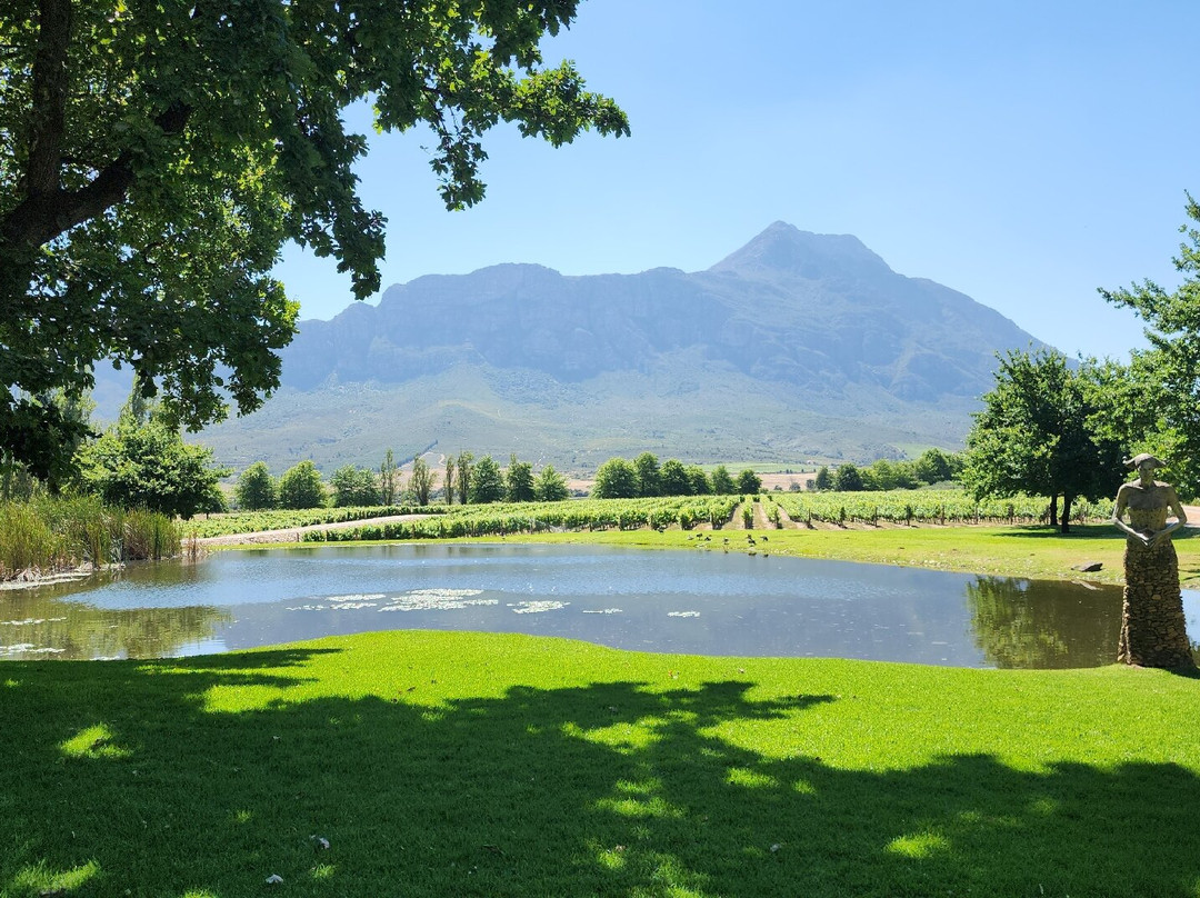 Saronsberg Cellar-塔尔巴赫必去景点