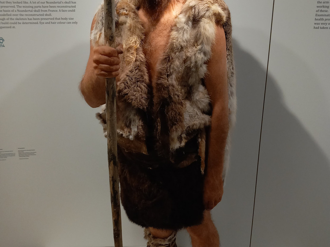 Rheinisches Landesmuseum Bonn-波恩必去景点