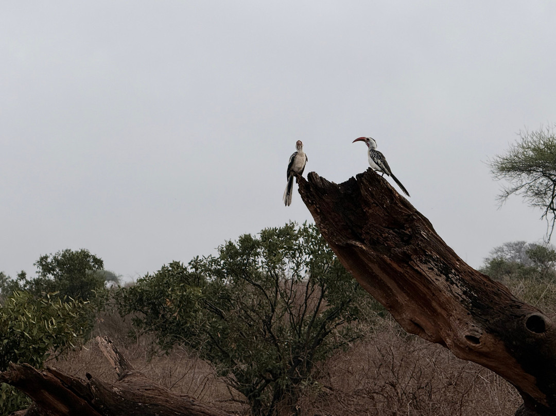 Dida Tours and Safaris-山祖必去景点