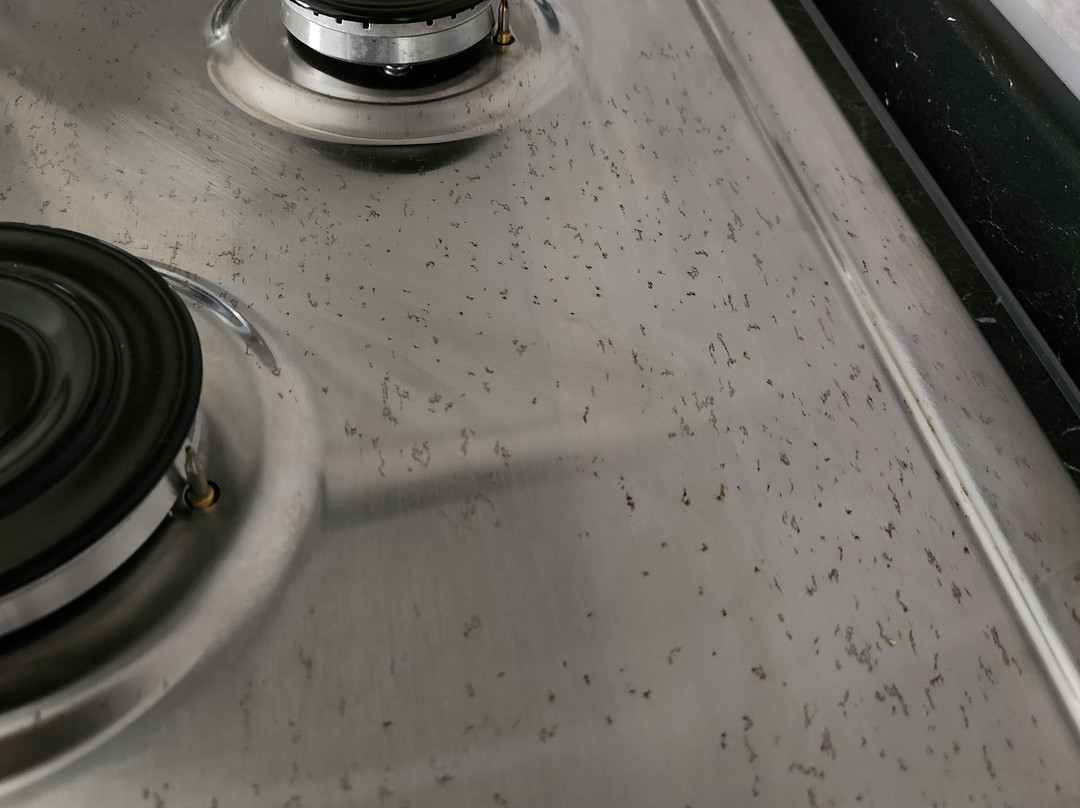 Mondo Convenienza-塞拉瓦莱斯克里维亚必去景点