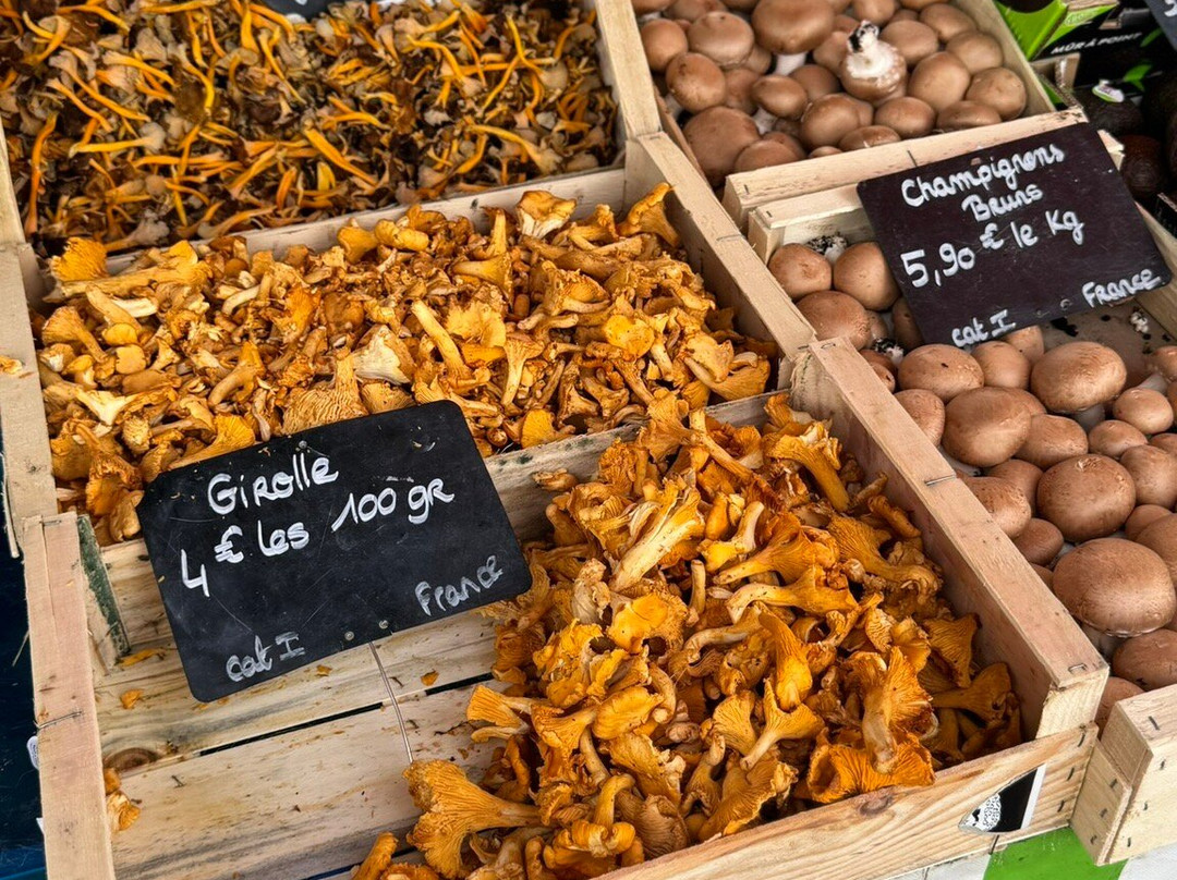 Marché Dominical d'Amboise-昂布瓦斯必去景点