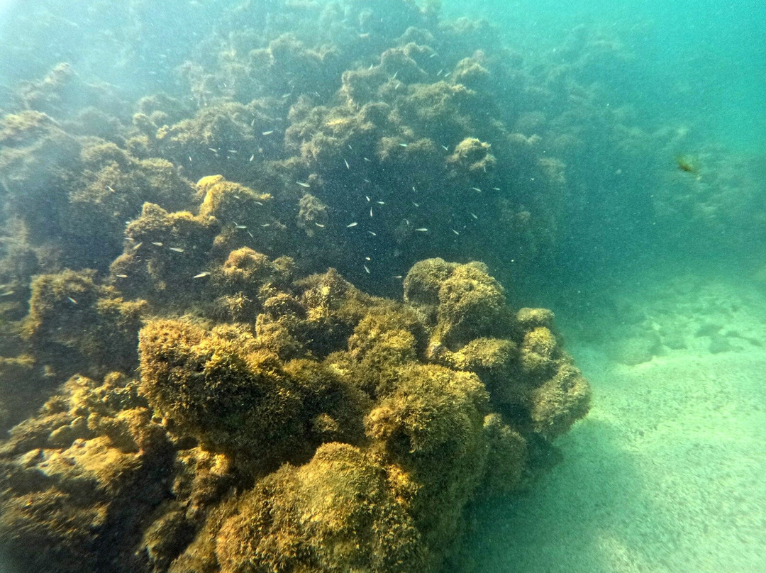 Milagres Mergulho-Sao Miguel dos Milagres必去景点