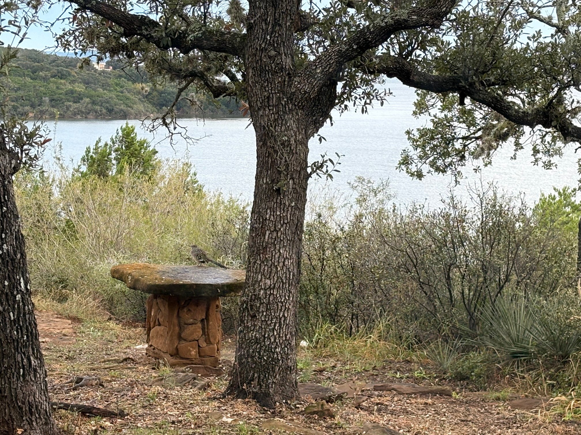 Canyon of the Eagles-官方