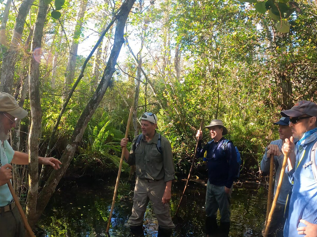 Clyde Butcher's Big Cypress Gallery-奥乔皮必去景点