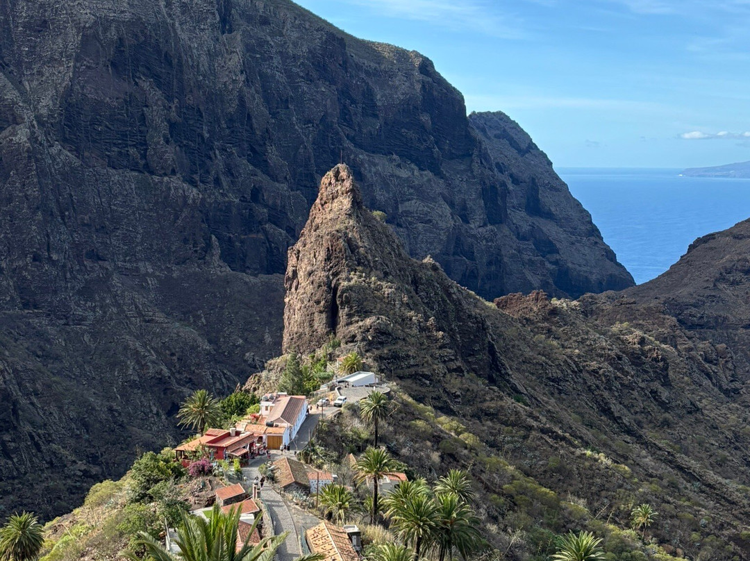 Canarias Nature Guides-Tegueste必去景点