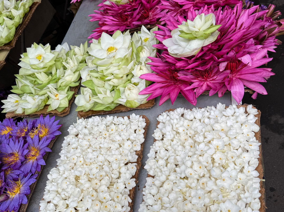 Off 2 Sri Lanka Private Tours-Piliyandala必去景点