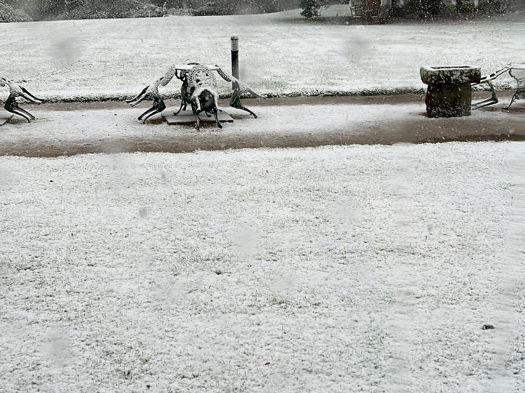 Grinkle Park Hotel主图