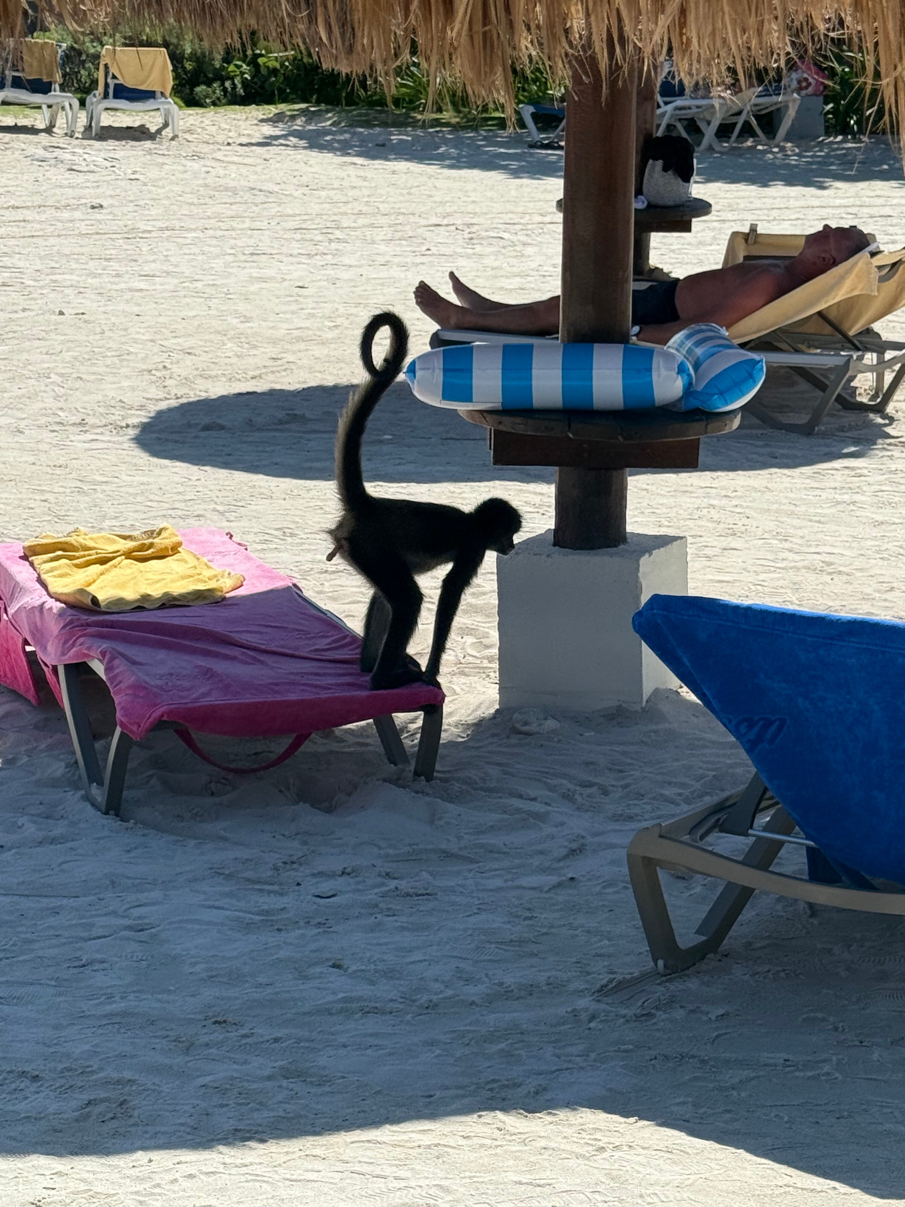 Grand Sirenis Riviera Maya Resort-泳池