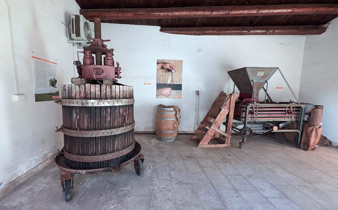 Museo della Mandorla di Avola-Avola必去景点