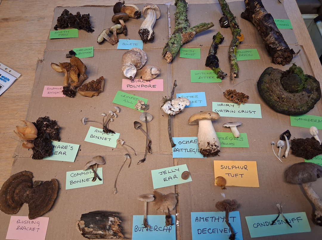 Hickling Broad-Hickling必去景点