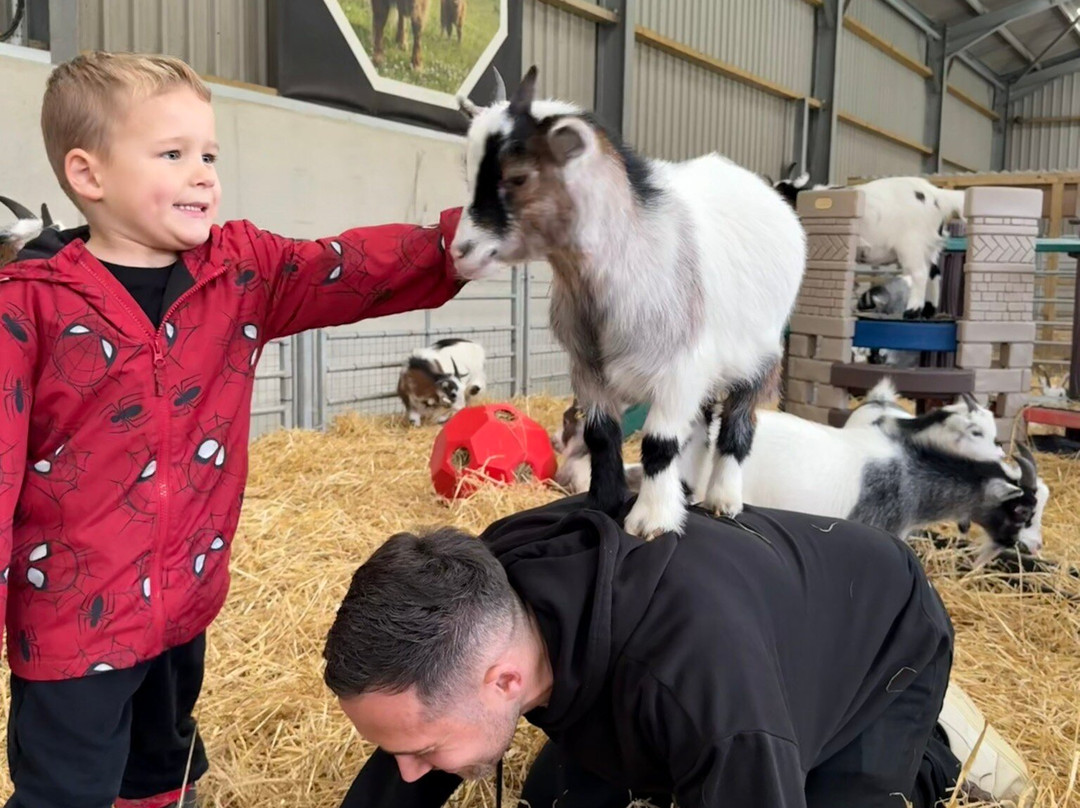 Farm Stop-Portlethen必去景点