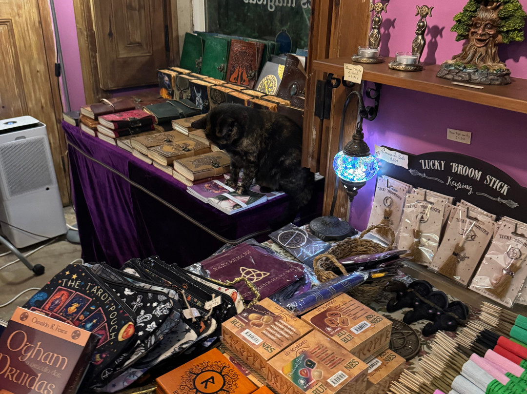 Pub Medieval Casa do Fauno-辛特拉必去景点