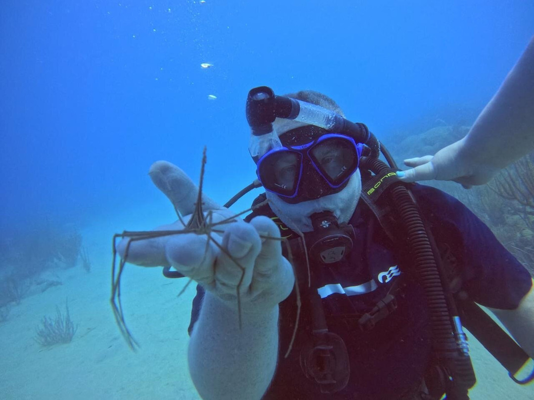 Amber Cove-普拉塔港必去景点