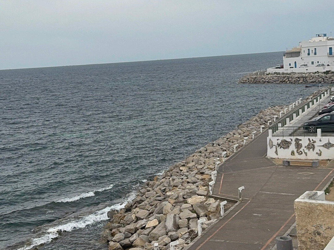 Hotel Al Jazira主图