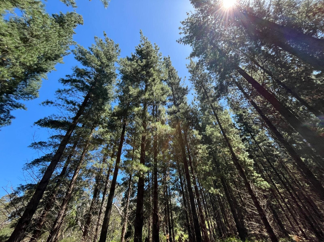 Getaway Trekking-墨尔本必去景点
