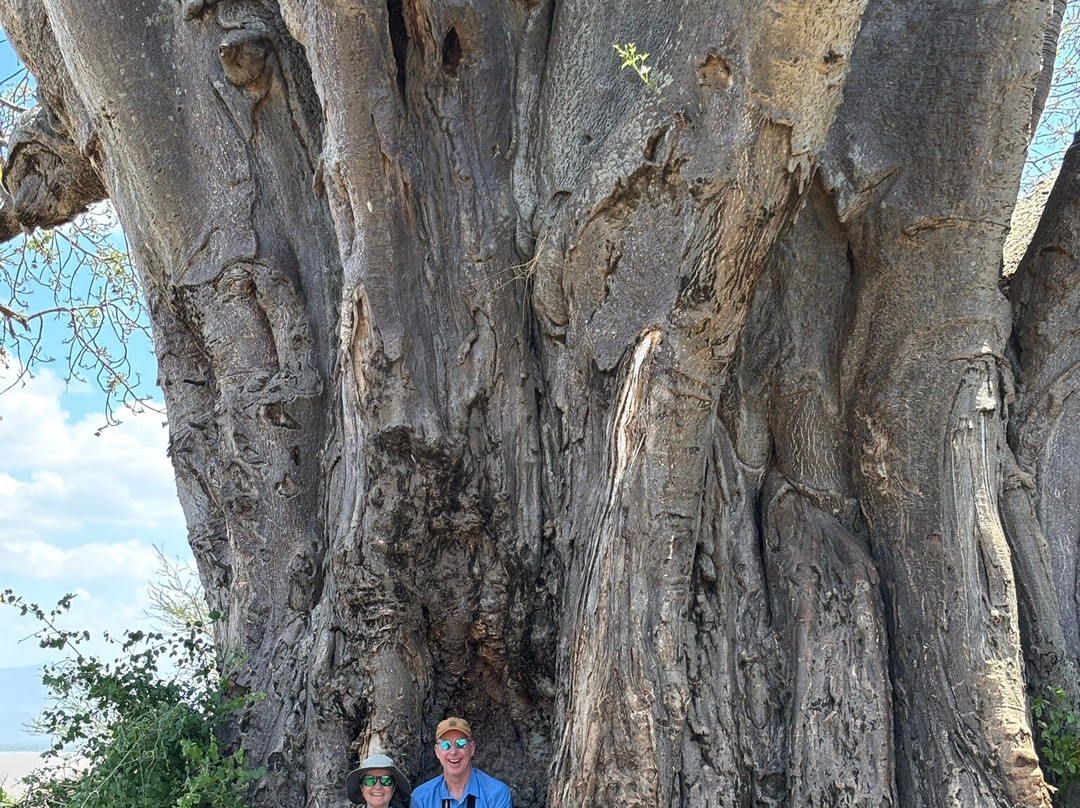 WildReality Safari-Dar es Salaam必去景点